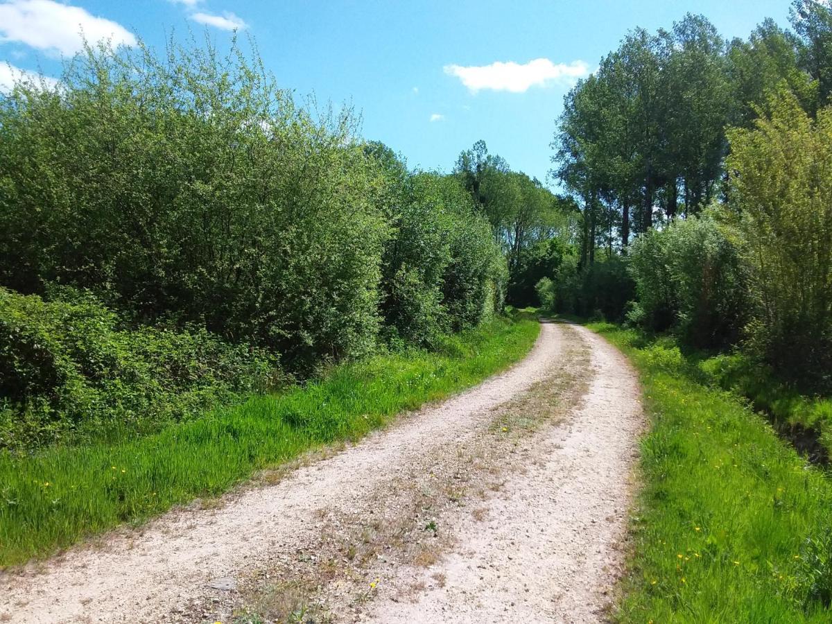 Petite Maison Normande Bellou-en-Houlme Exteriér fotografie